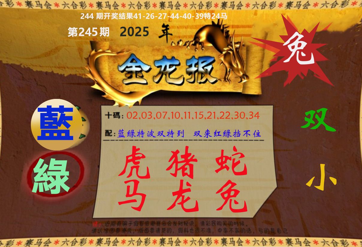 金龙报 第245期