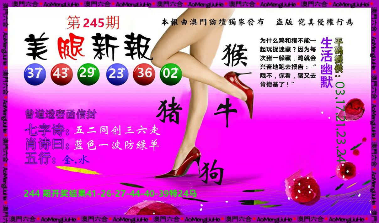 美腿新报 第245期
