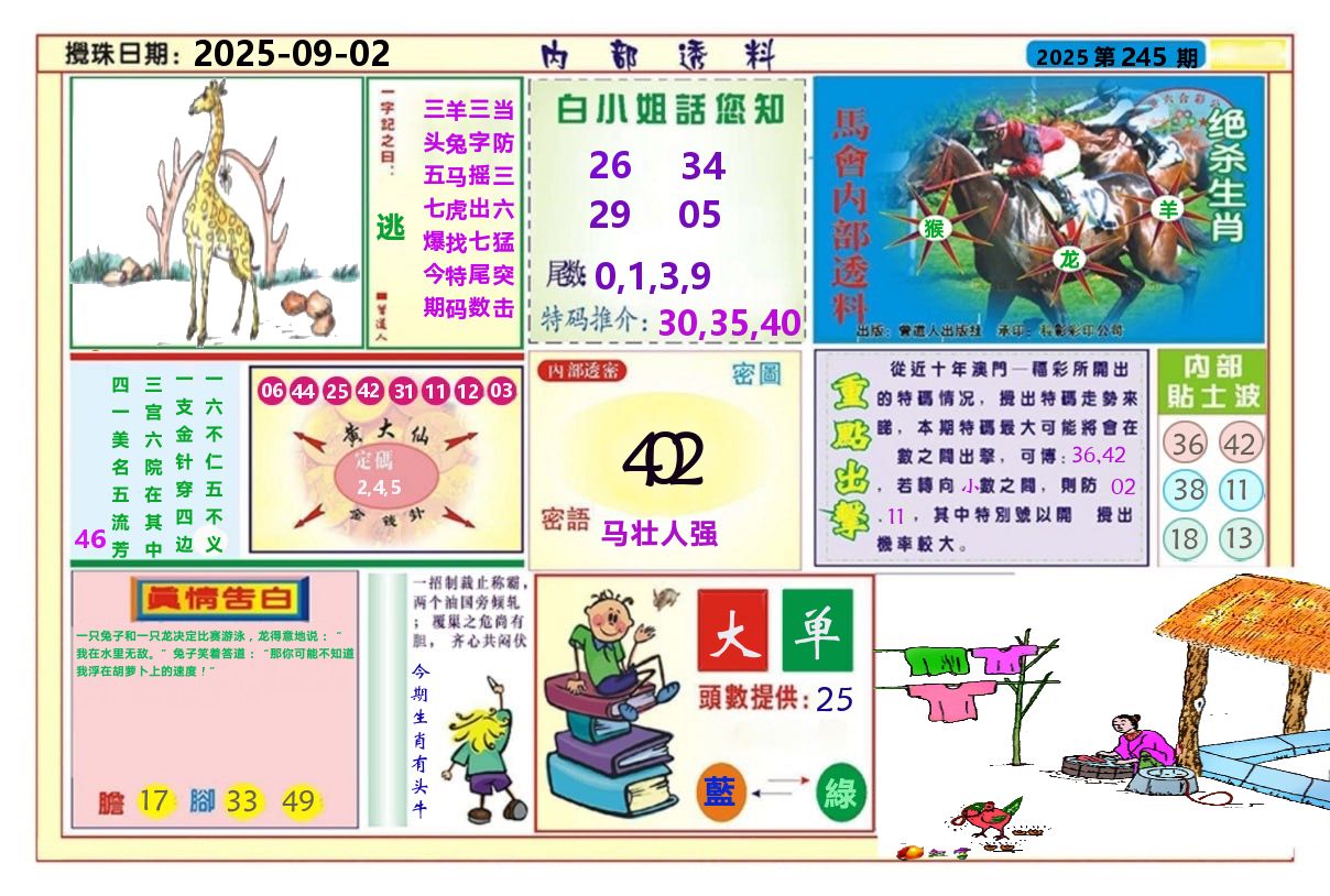 澳门内部透料A 第245期