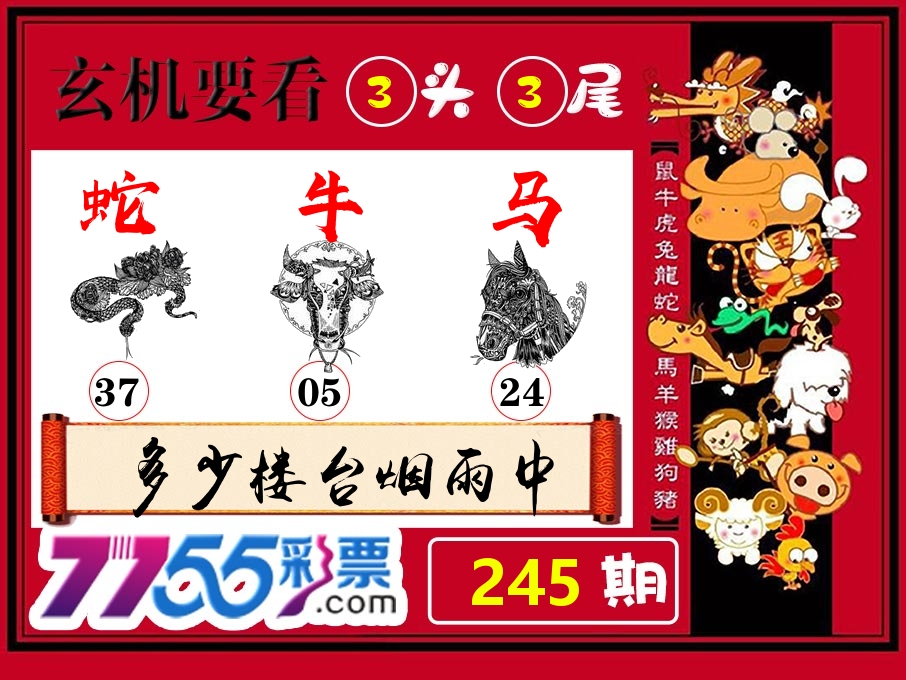 玄机要看 第245期