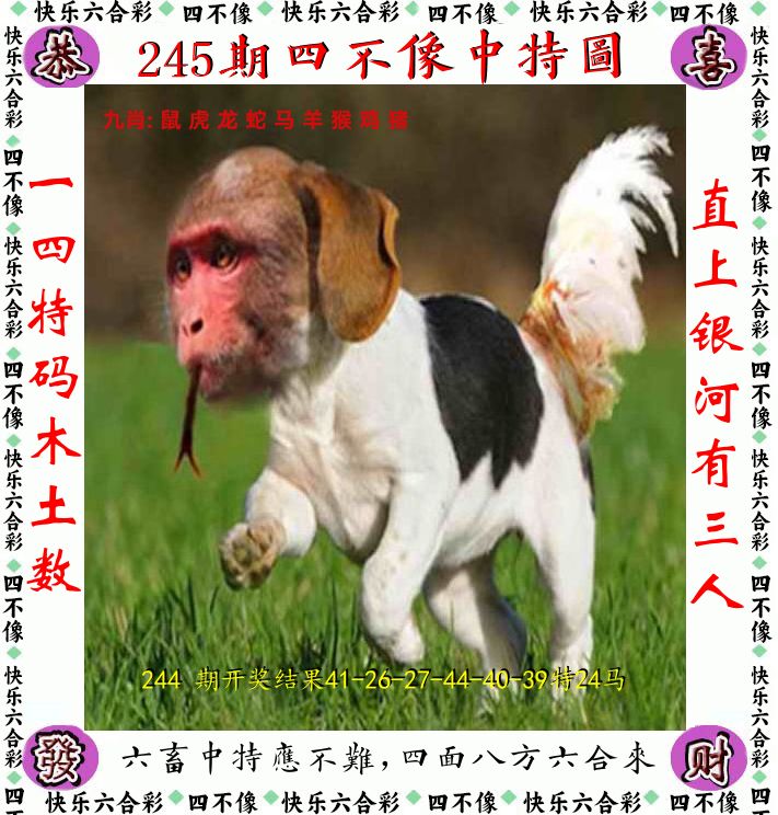 四不像 第245期
