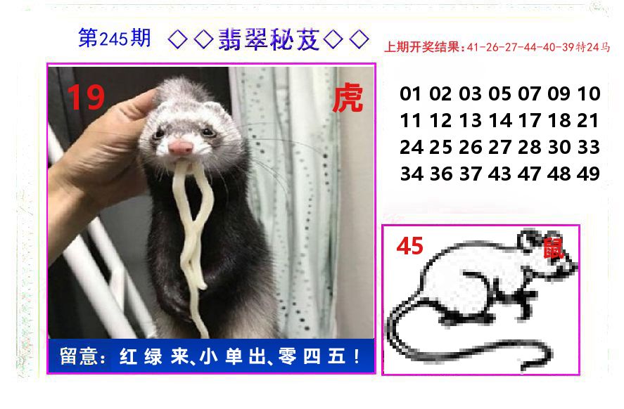 翡翠秘芨 第245期