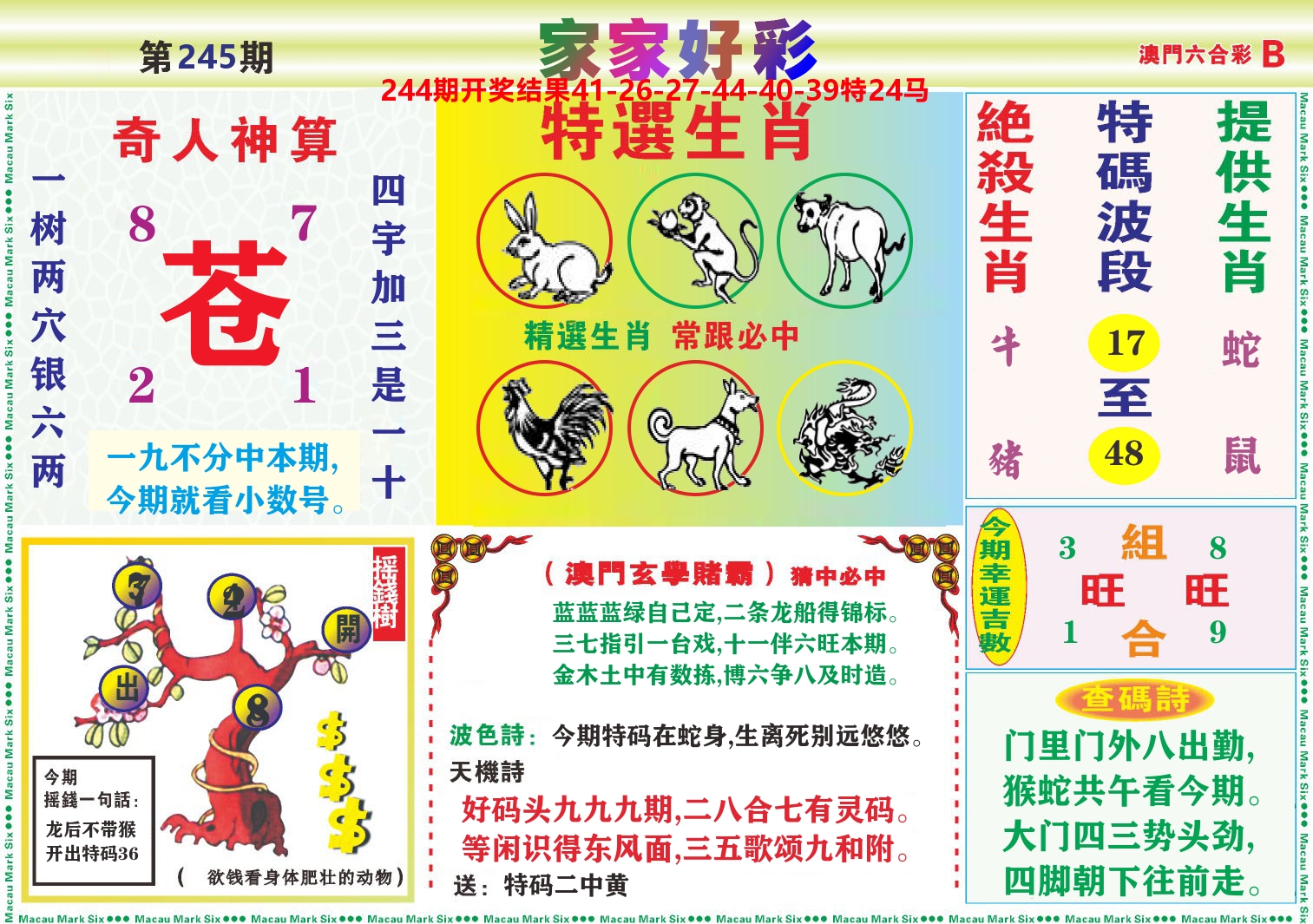 家家好彩B 第245期
