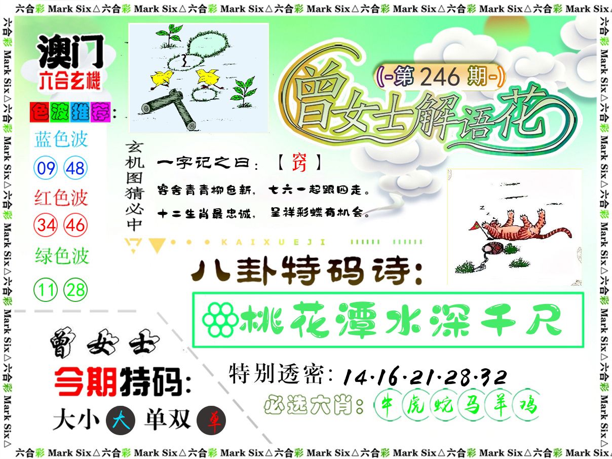 曾女士解语花 第246期
