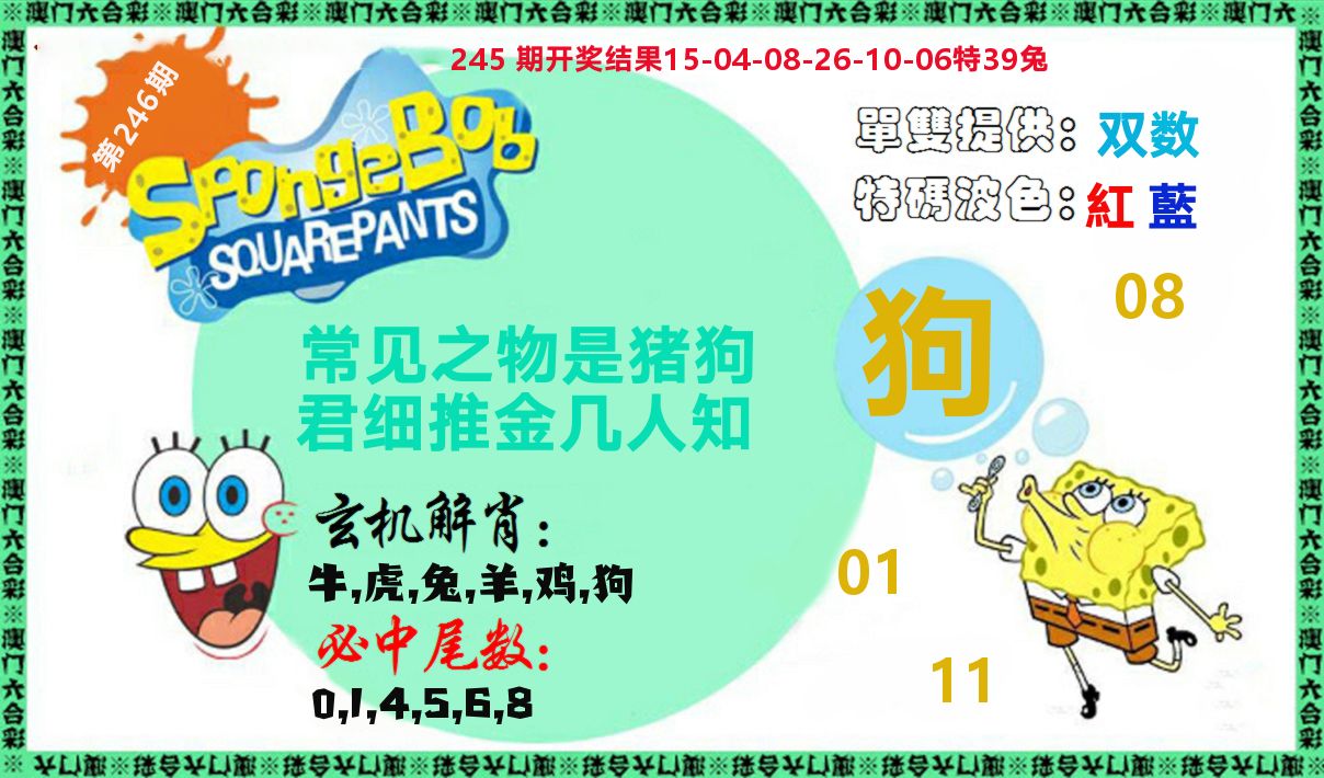 新特码玄机 第246期