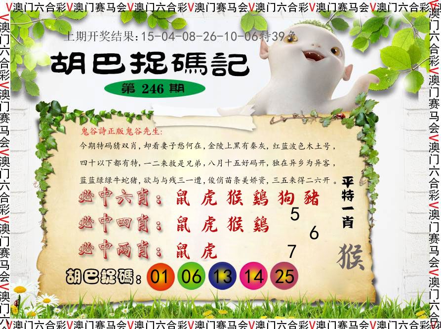 胡巴抓码记 第246期