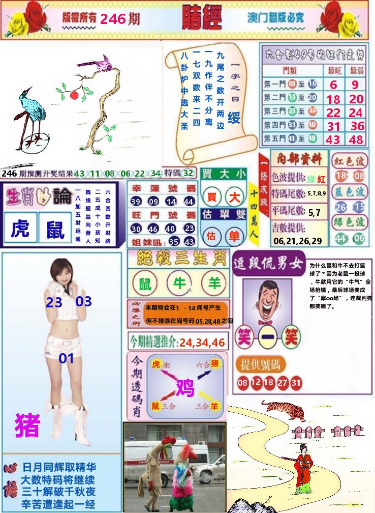 澳门赌经 第246期