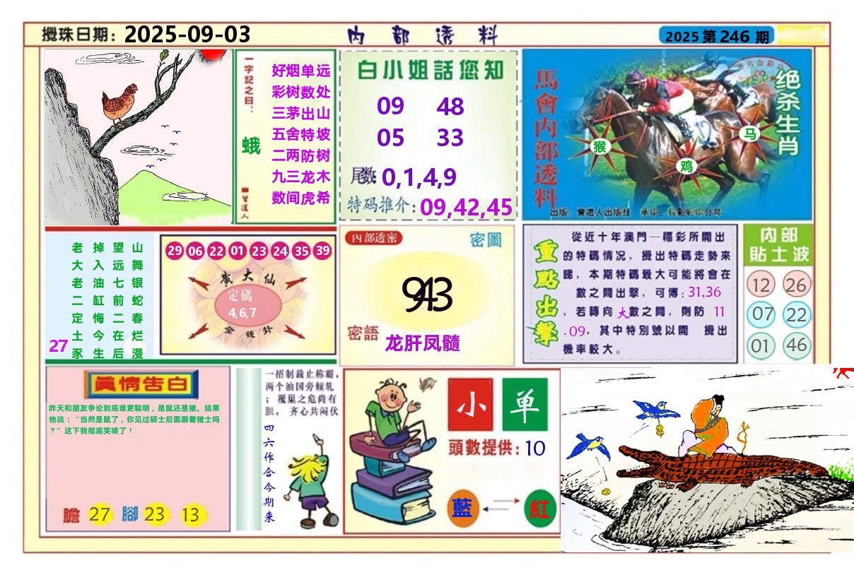 澳门内部透料A 第246期