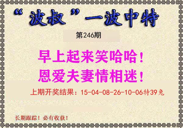 波叔中特 第246期