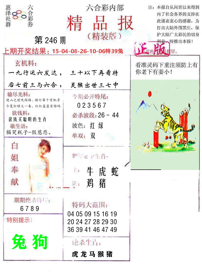 精品报 第246期