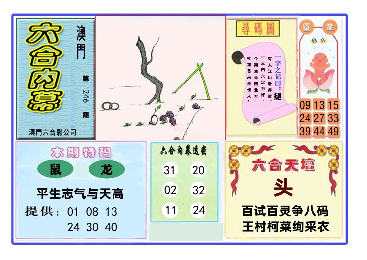 六合内幕 第246期