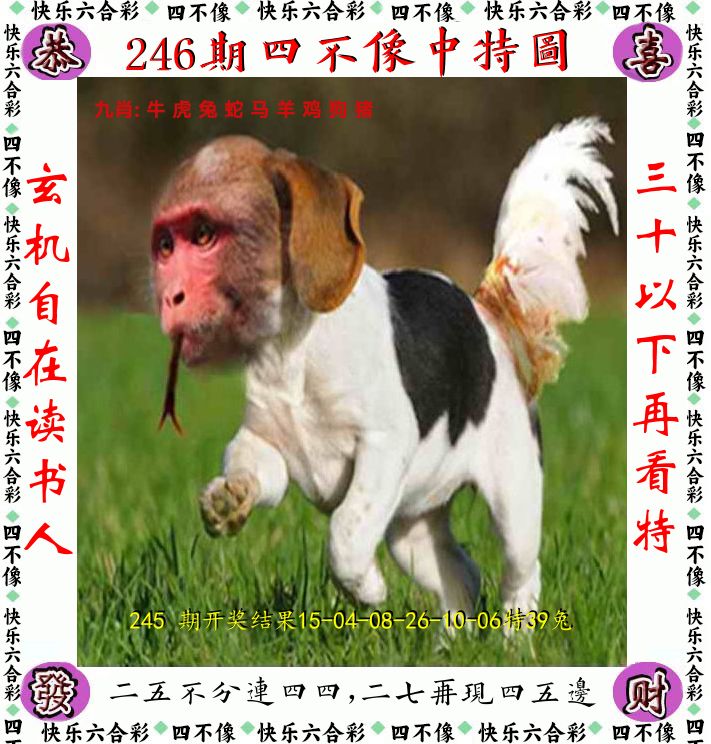 四不像 第246期