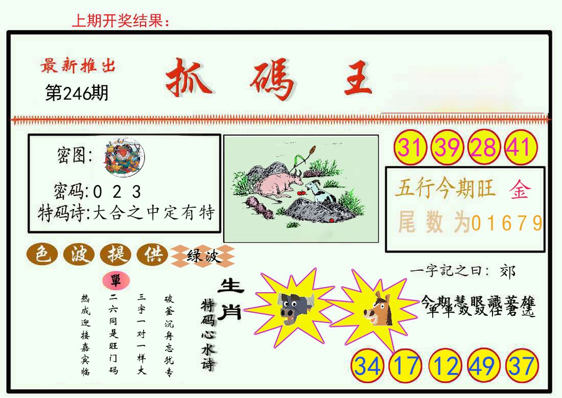 最新抓码王 第246期