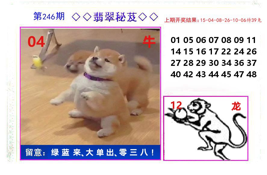 翡翠秘芨 第246期