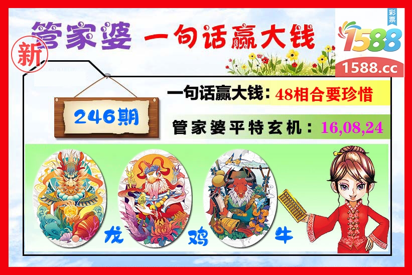 管家婆 第246期