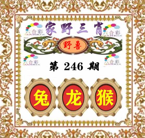 家野三肖 第246期