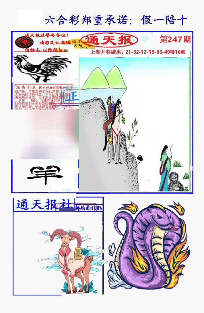 通天报 第247期