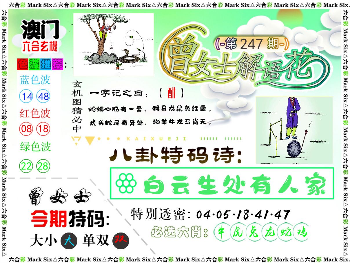曾女士解语花 第247期