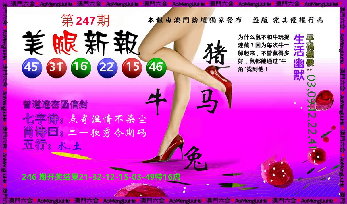 美腿新报 第247期