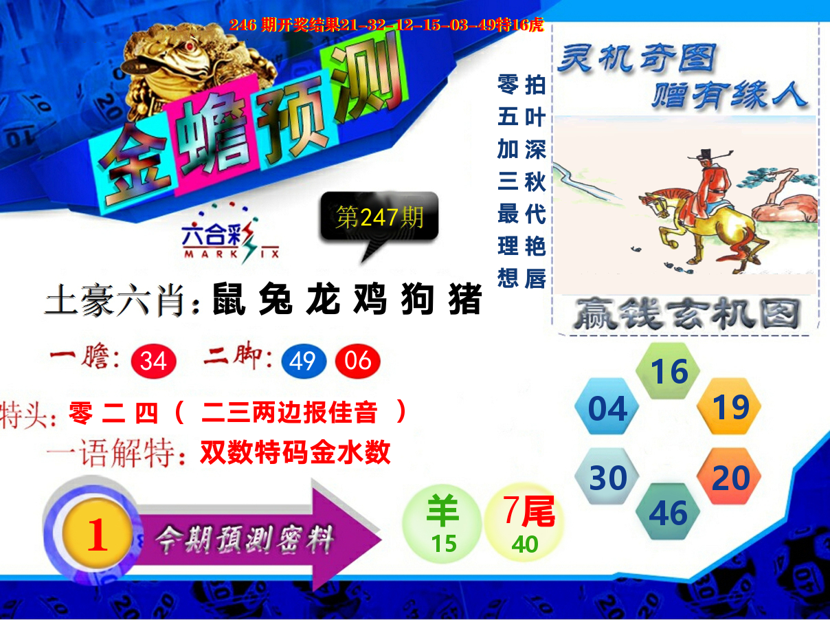 金蟾预测 第247期