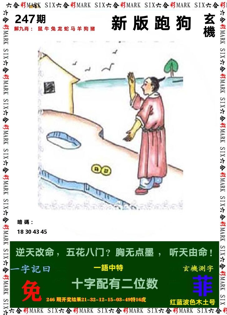悟入其图 第247期