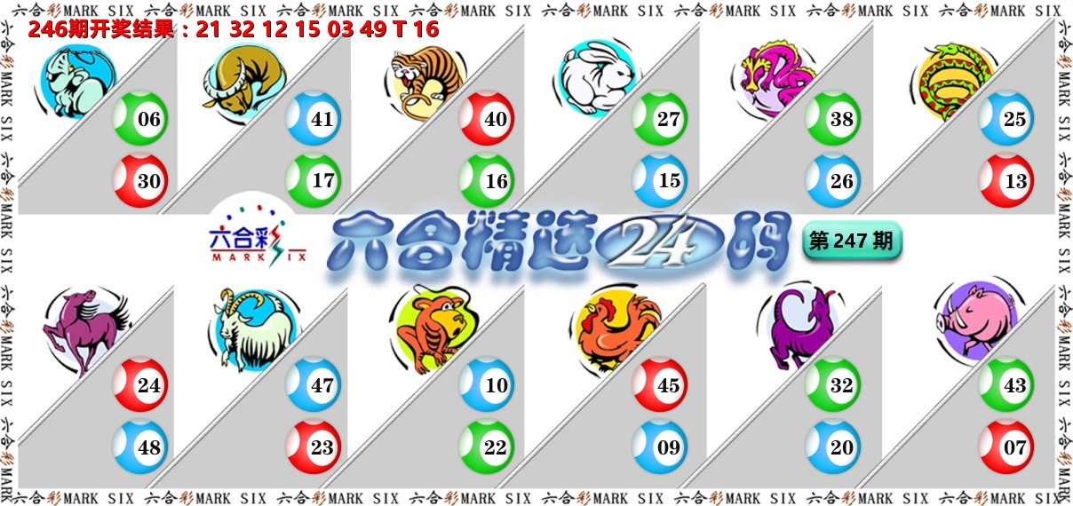 六合精选24码 第247期
