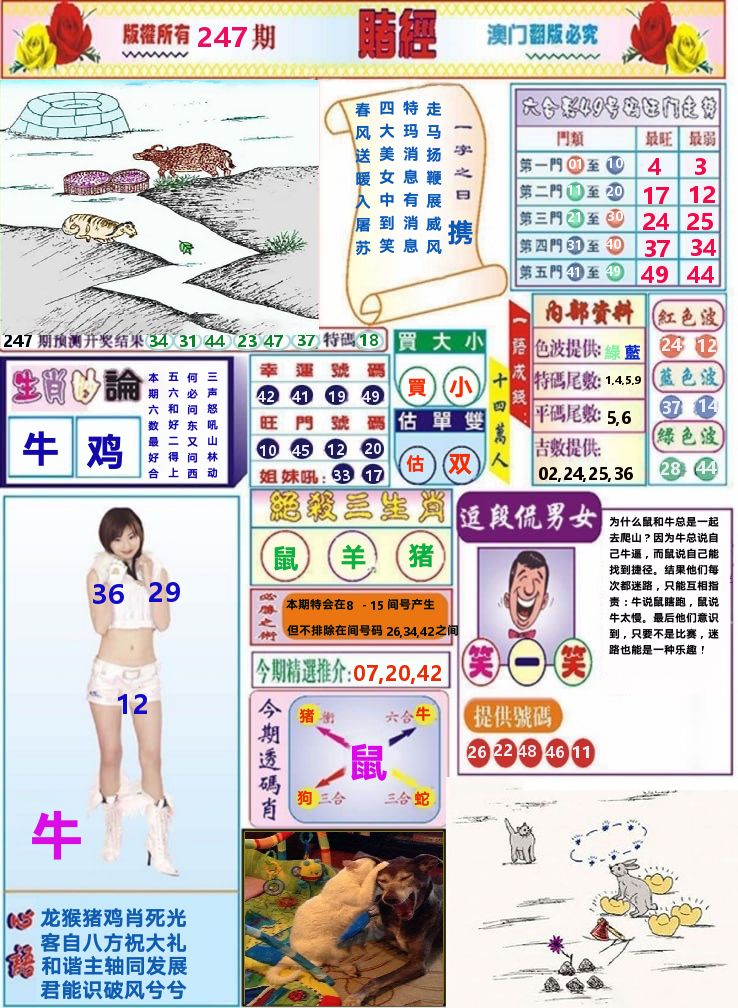 澳门赌经 第247期