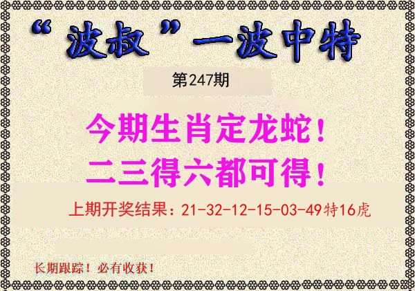 波叔中特 第247期