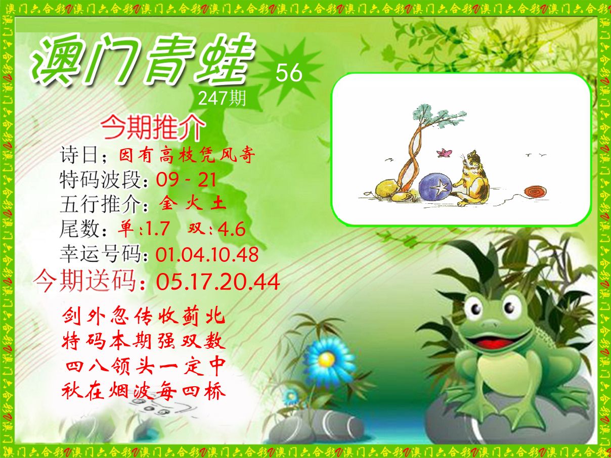 青蛙系列56 第247期