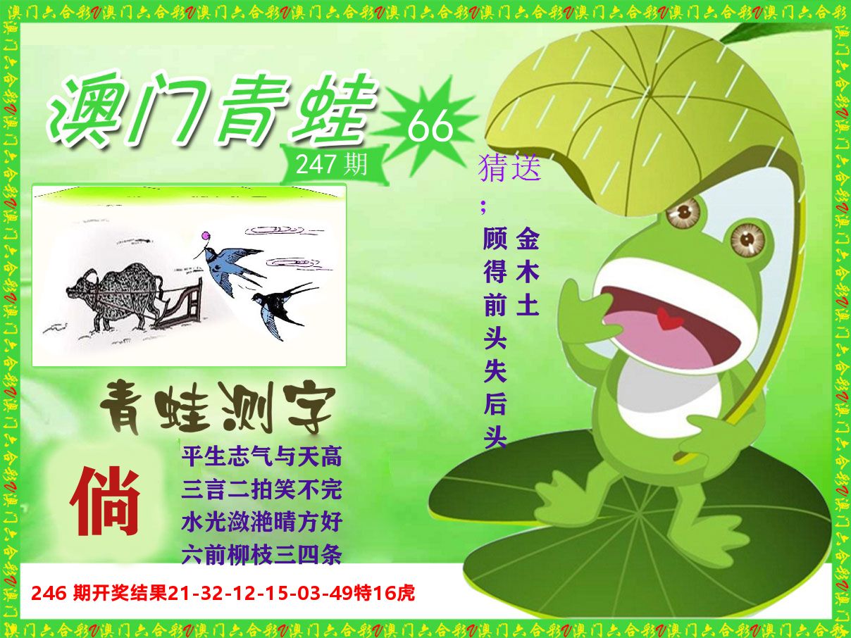 青蛙系列66 第247期