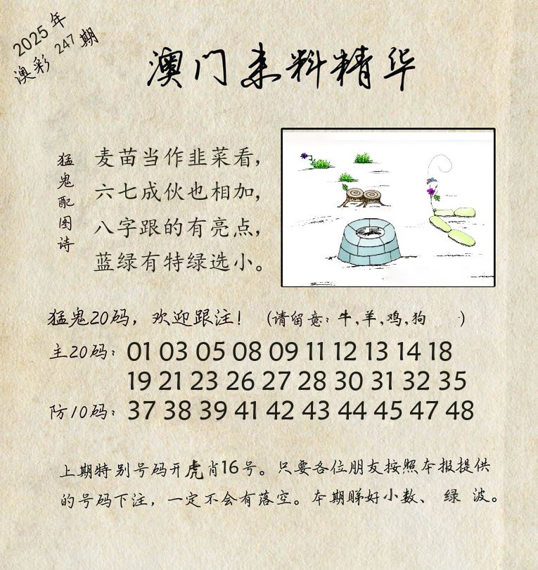 精华来料 第247期