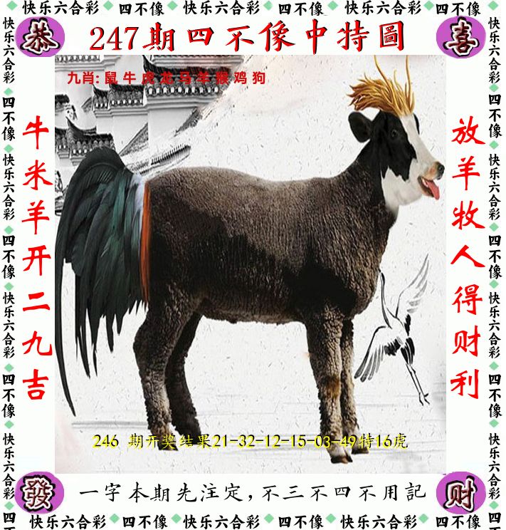 四不像 第247期