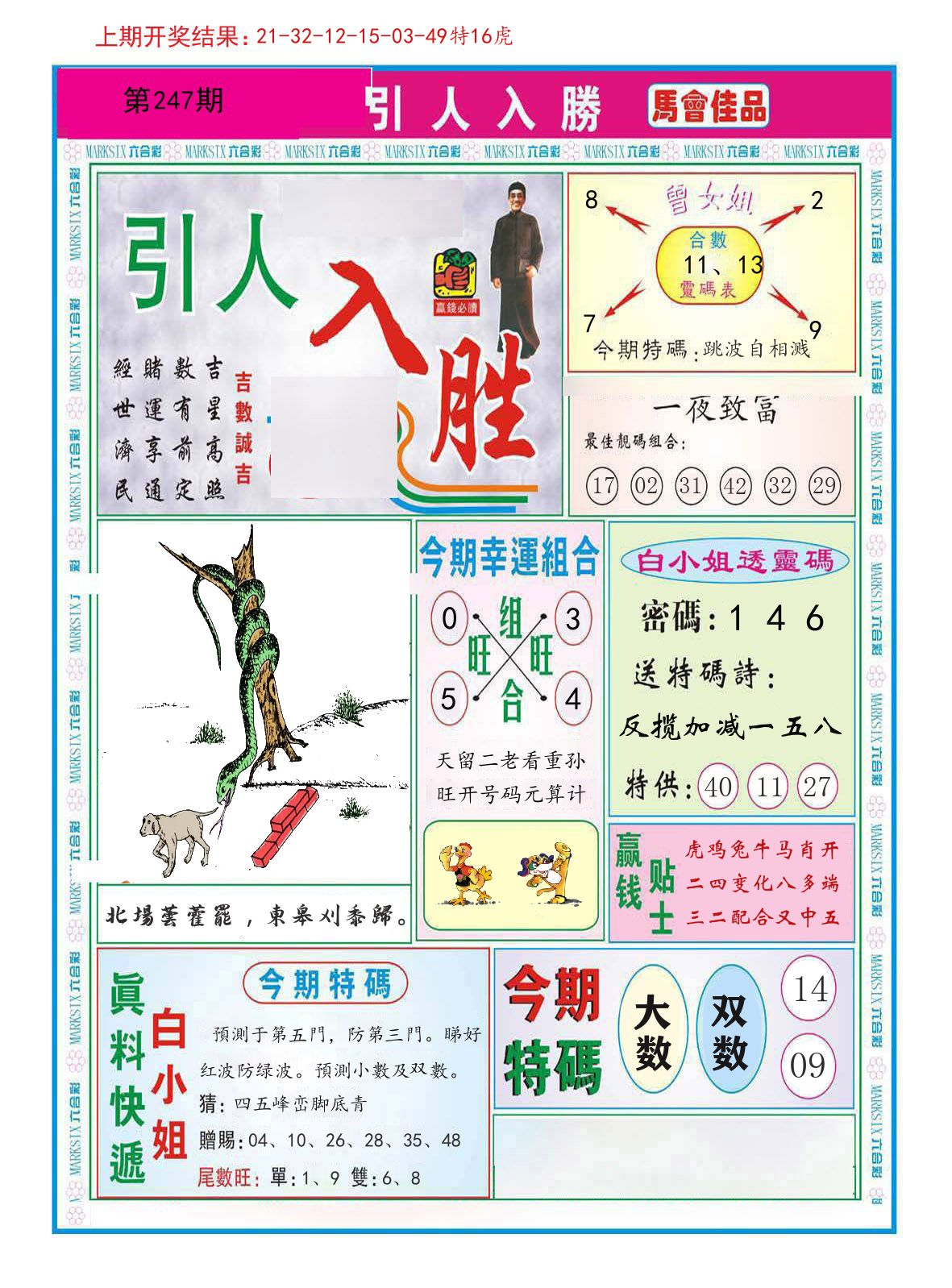 引人入胜 第247期