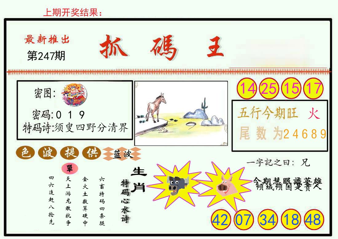 最新抓码王 第247期