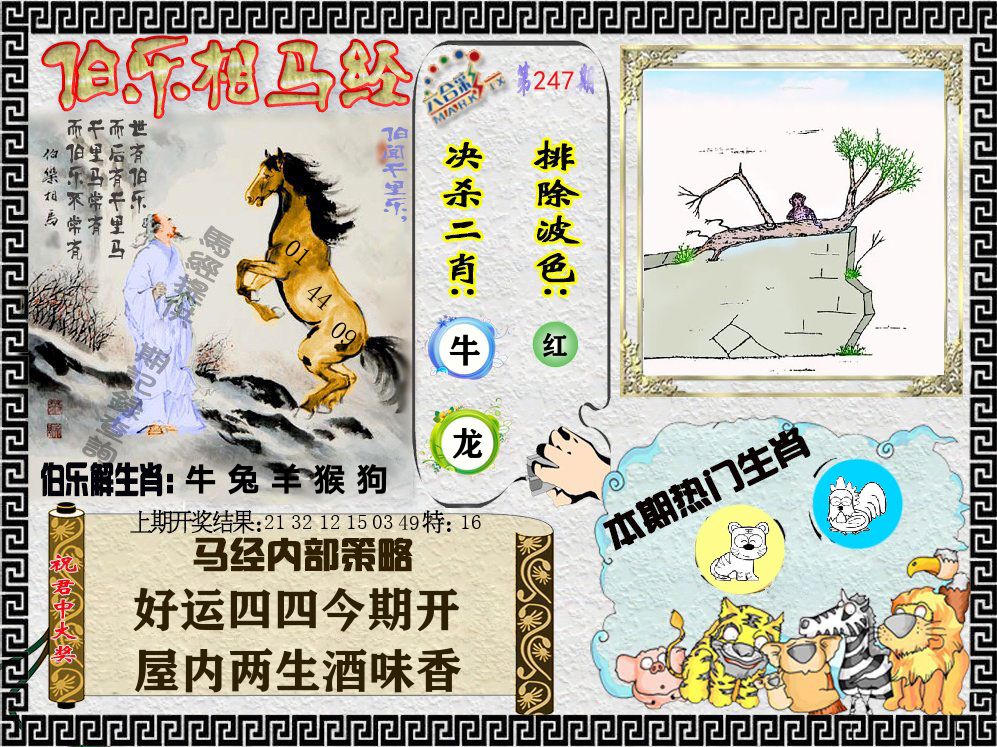 伯乐相马经 第247期