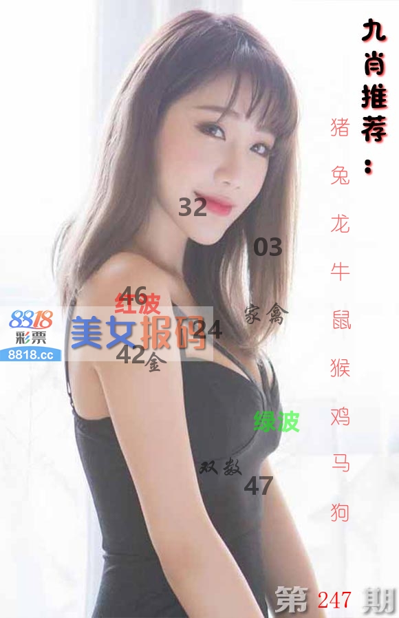 美女报码 第247期