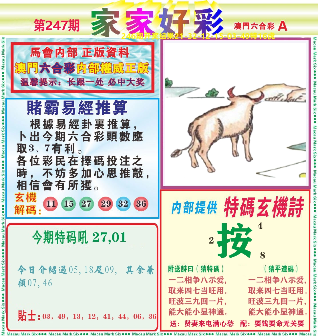 家家好彩A 第247期