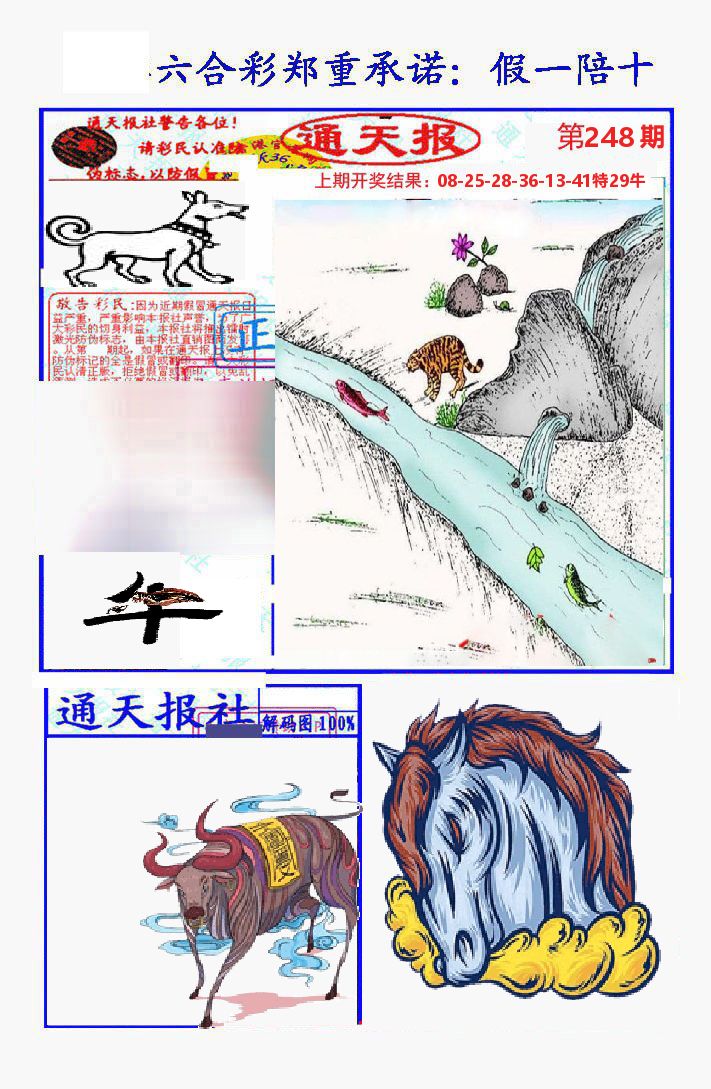 通天报 第248期
