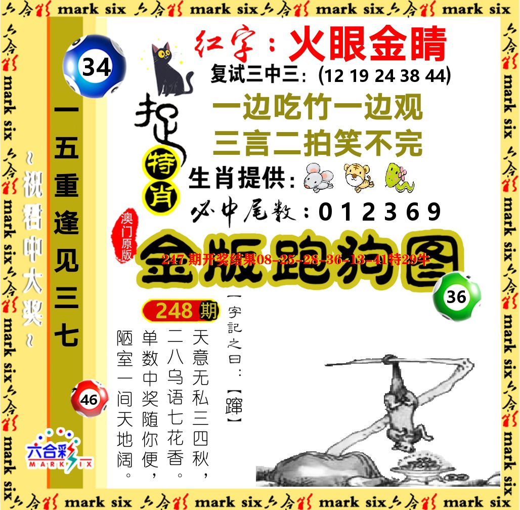 金版跑狗图 第248期