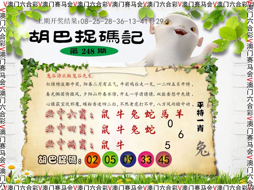 胡巴抓码记 第248期