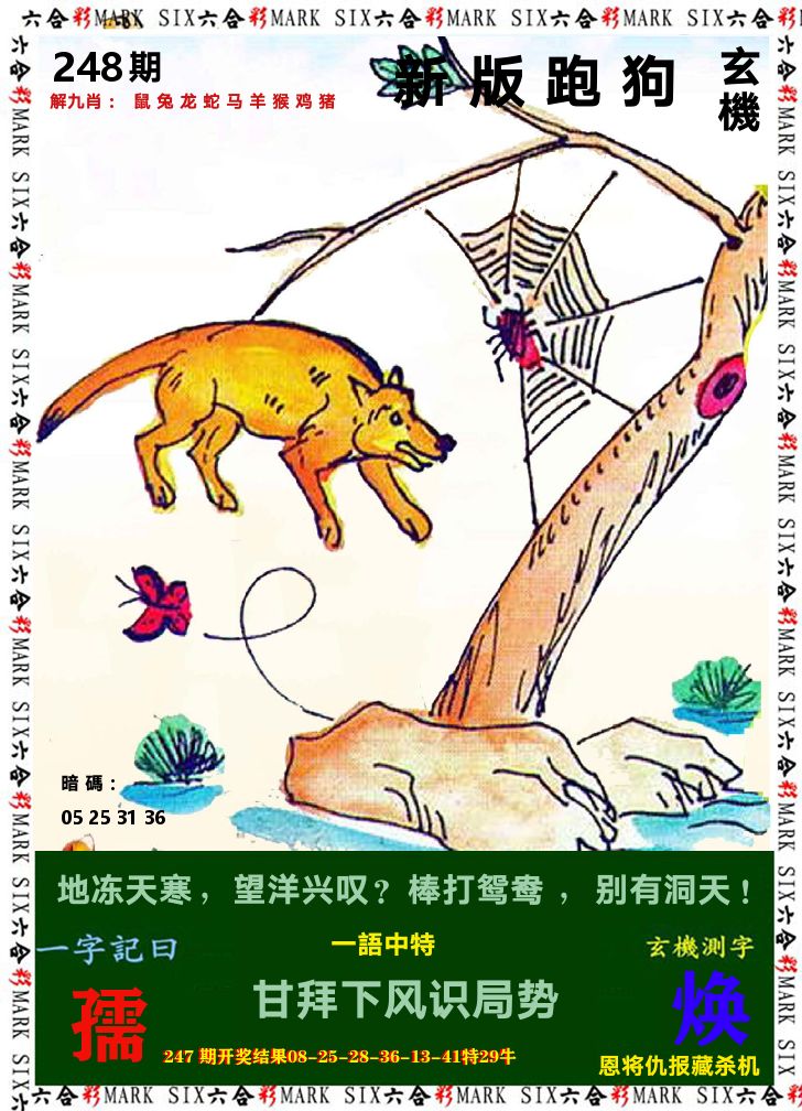悟入其图 第248期