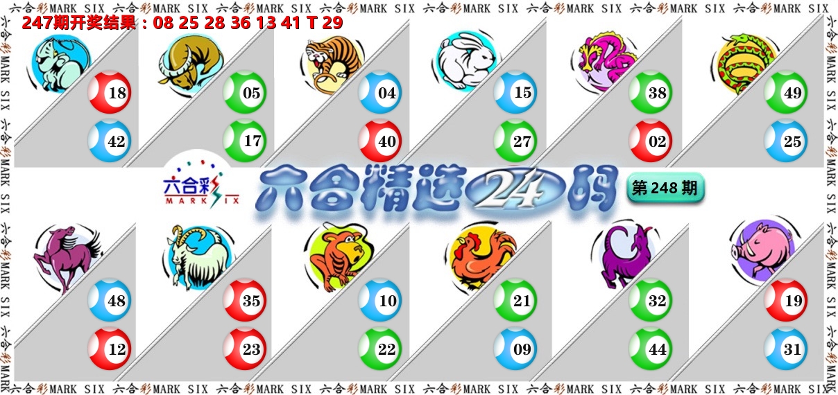 六合精选24码 第248期