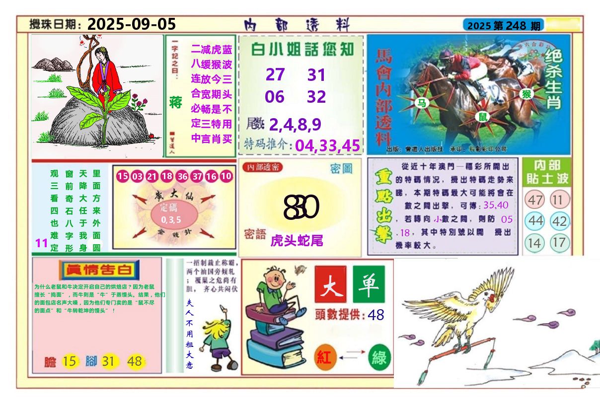 澳门内部透料A 第248期