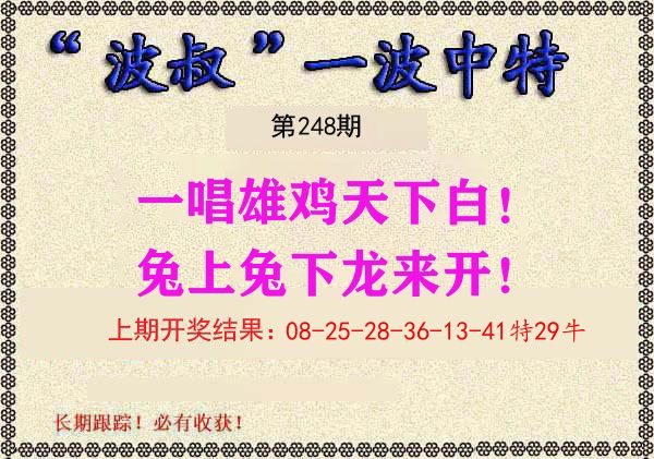 波叔中特 第248期