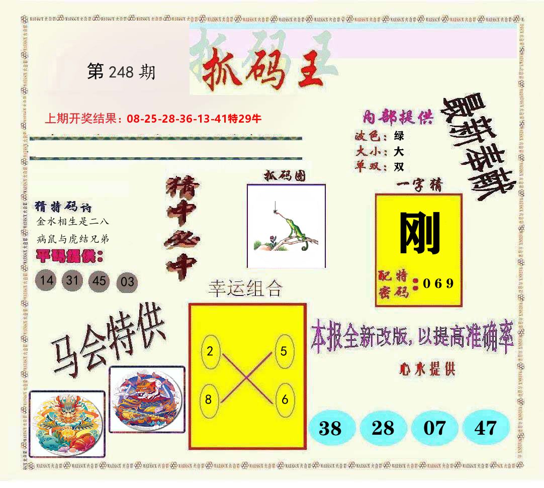 抓码王 第248期