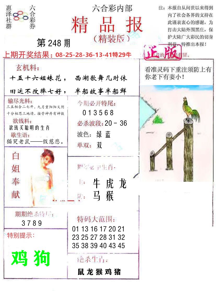 精品报 第248期