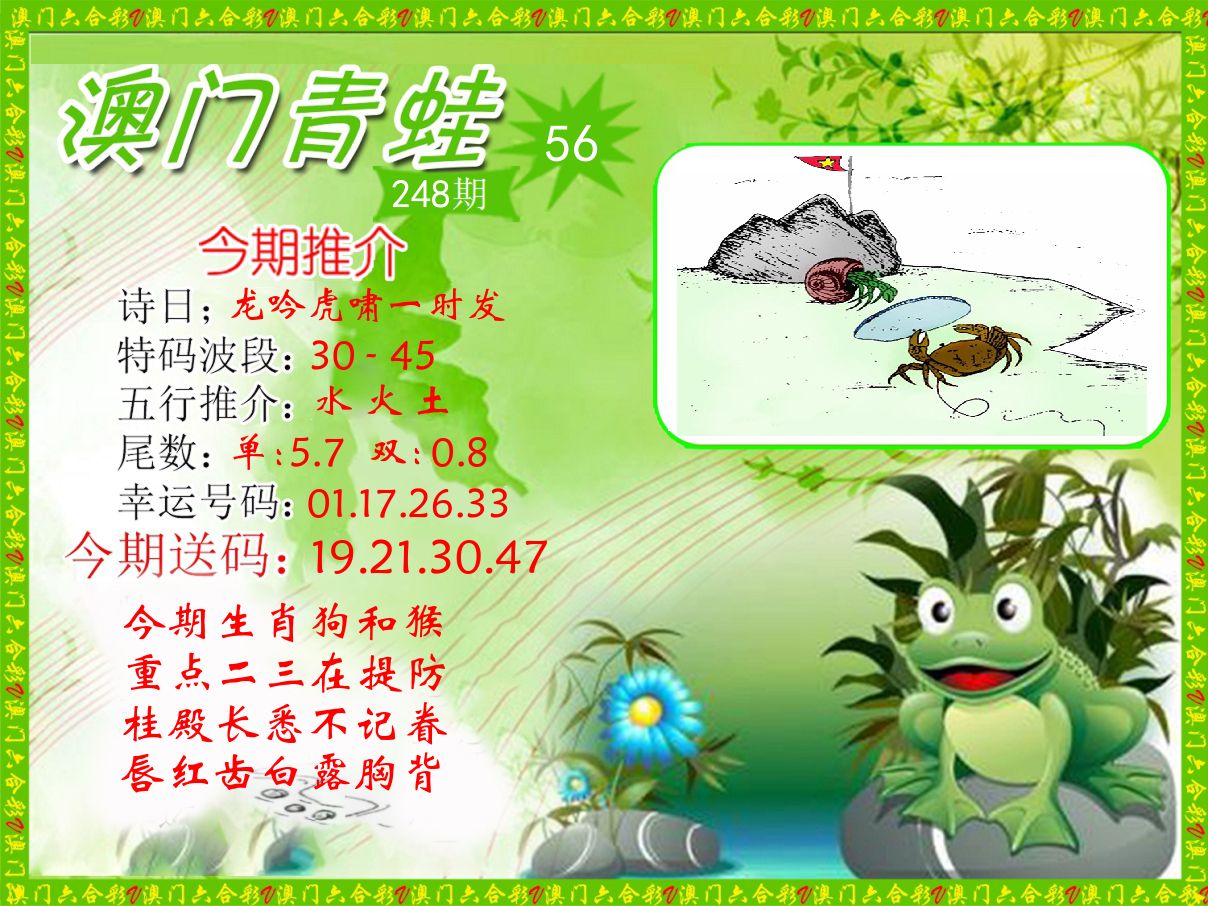 青蛙系列56 第248期