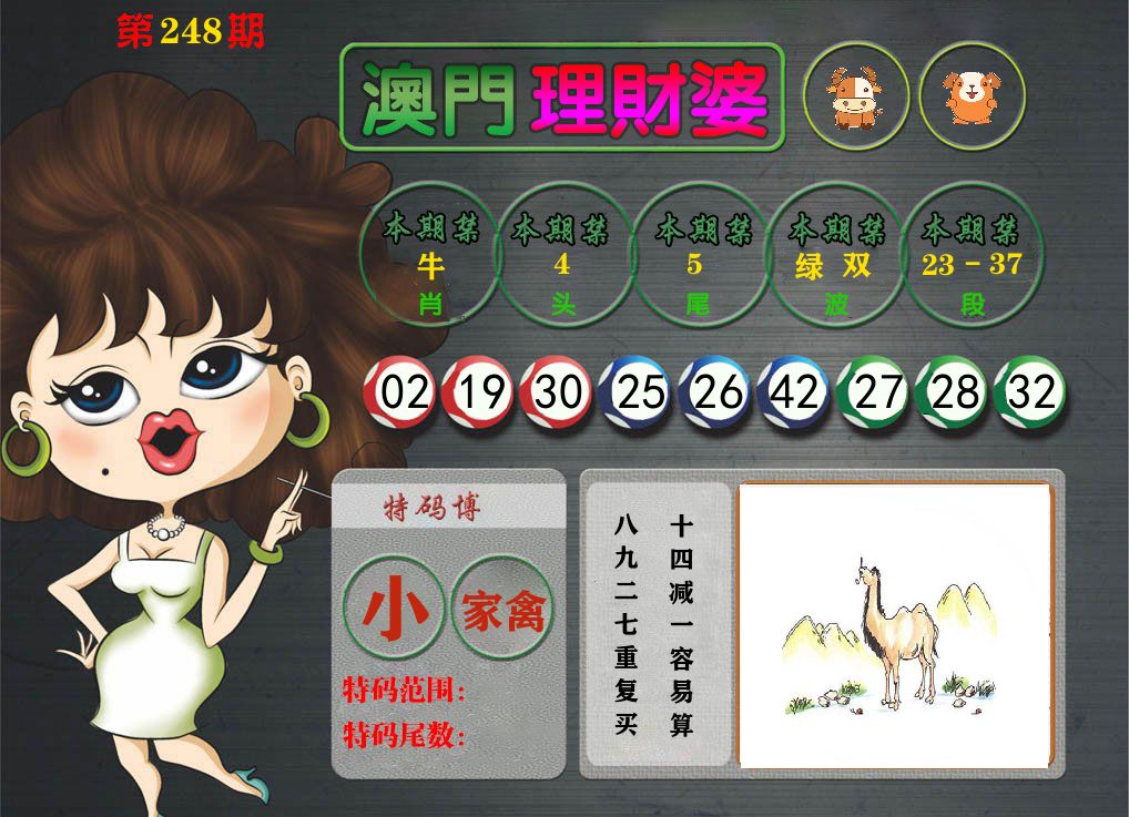 理财婆 第248期