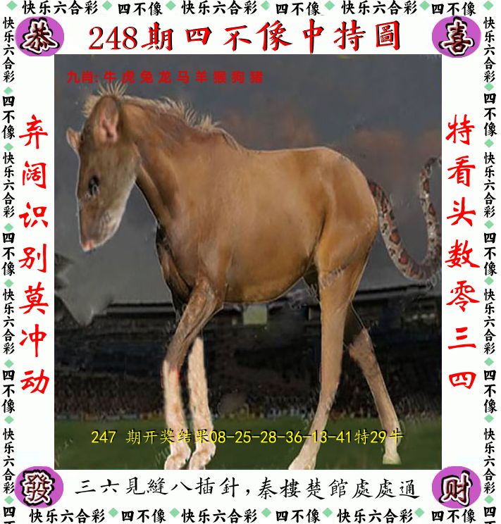四不像 第248期