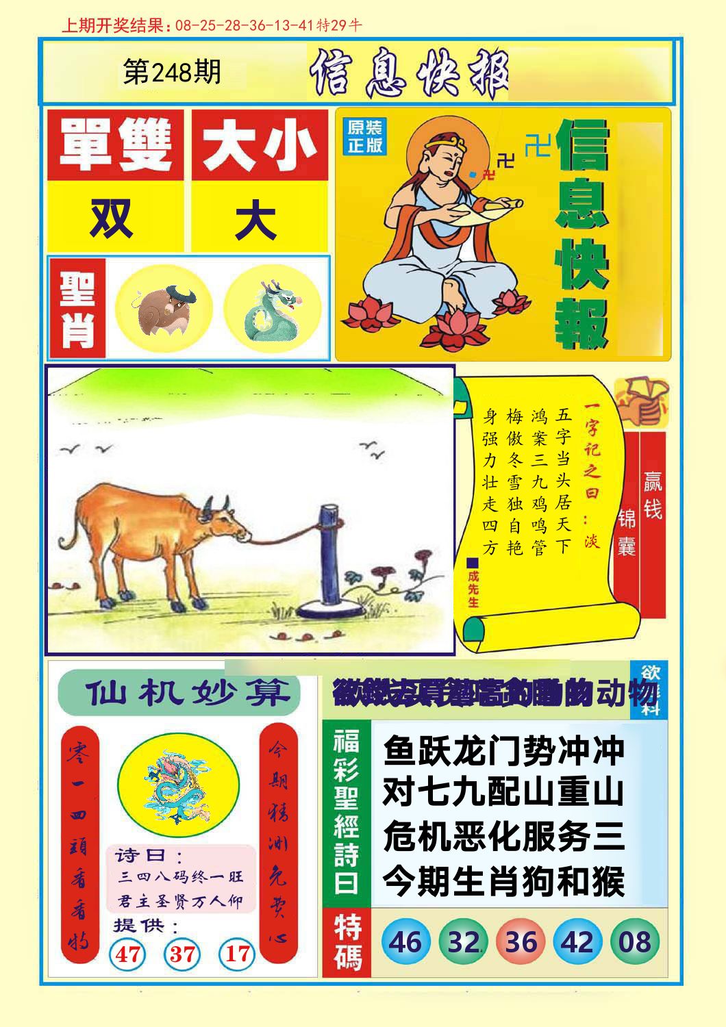 信息快报 第248期